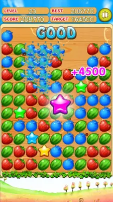 Crazy Fruit android App screenshot 6